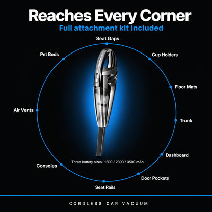 Infographic slide 5